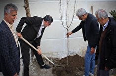 برگزاری مراسم بزرگداشت روز درختکاری در ستاد کانون بازنشستگان